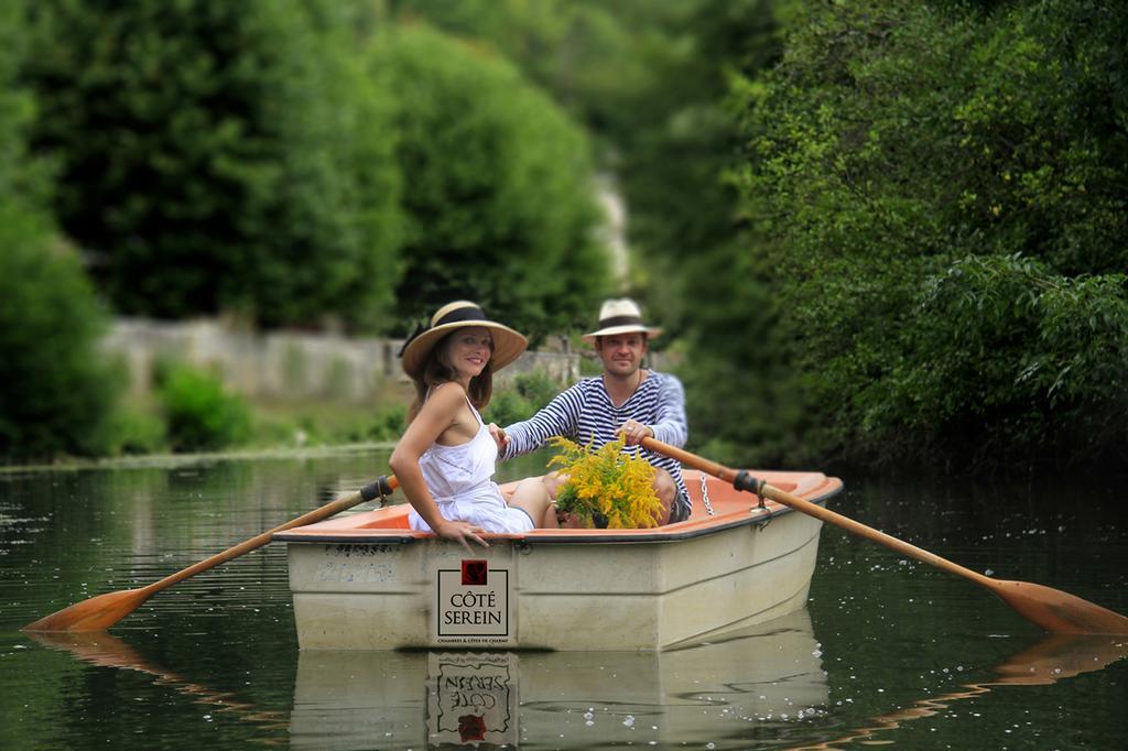 Cote-Serein - Domaine De Venoise Noyers Bagian luar foto